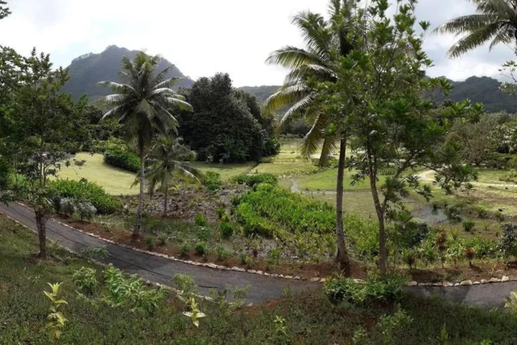 Duplex En Bord De Mer Fare Tahitea Pension Taputapuapea 외부 사진