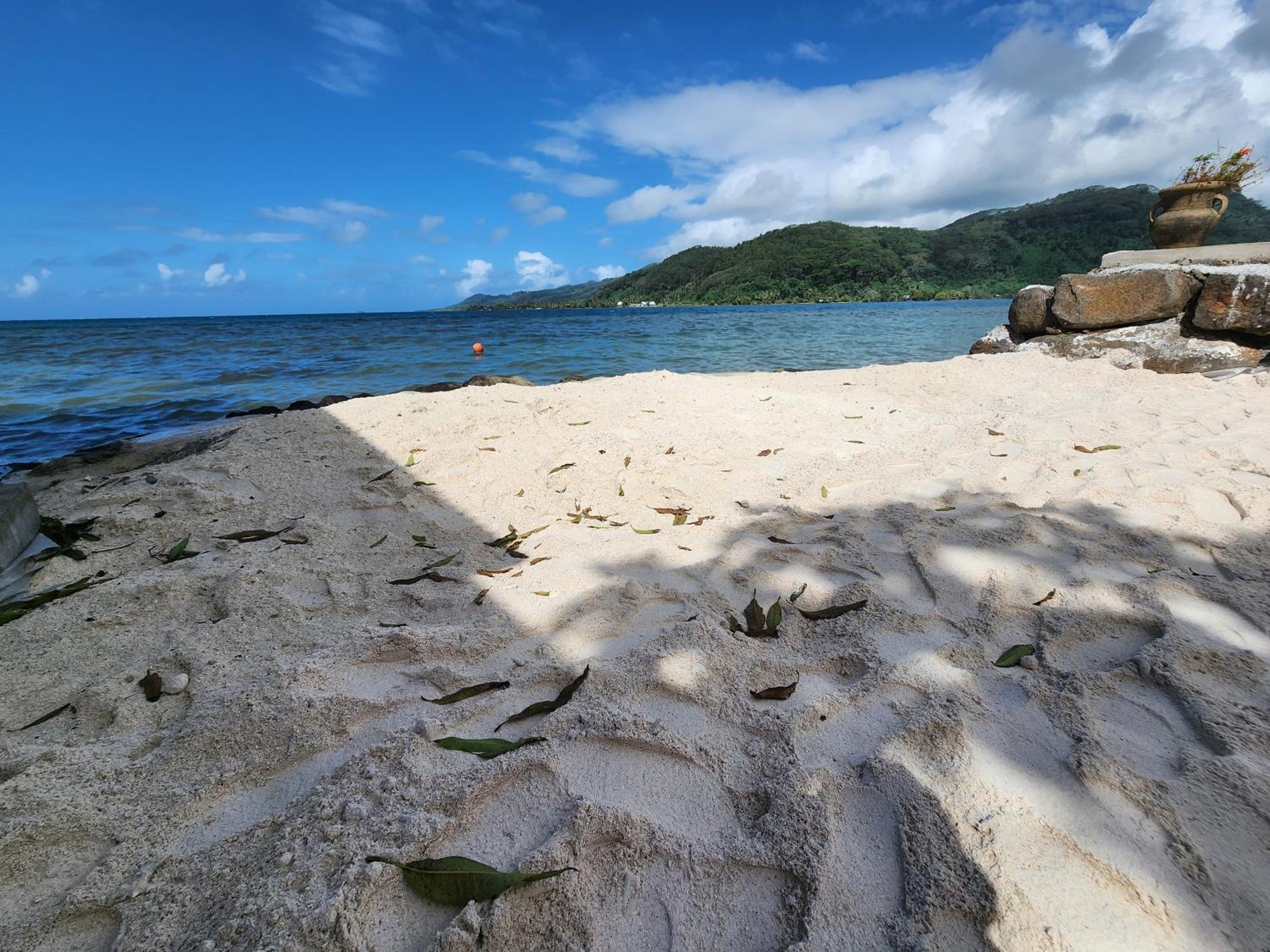 Duplex En Bord De Mer Fare Tahitea Pension Taputapuapea 외부 사진